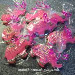 Iced Elephant Cookies 