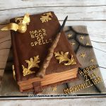 Harry Potter Book of Spells Cake