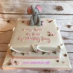 Elephant Christening Cake 