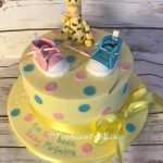 Girl or Boy Baby Shower Cake