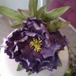 Purple peony 1